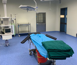 鋼質(zhì)門(mén)案例